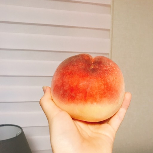 강남불백
