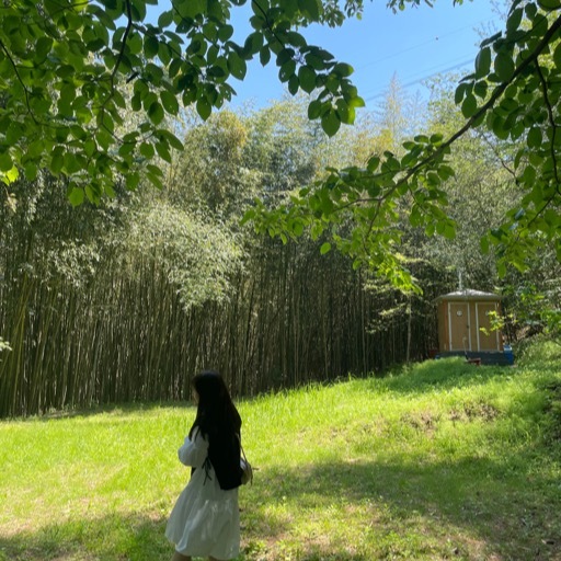 신천쭈꾸미