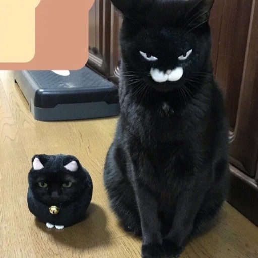 연희중식