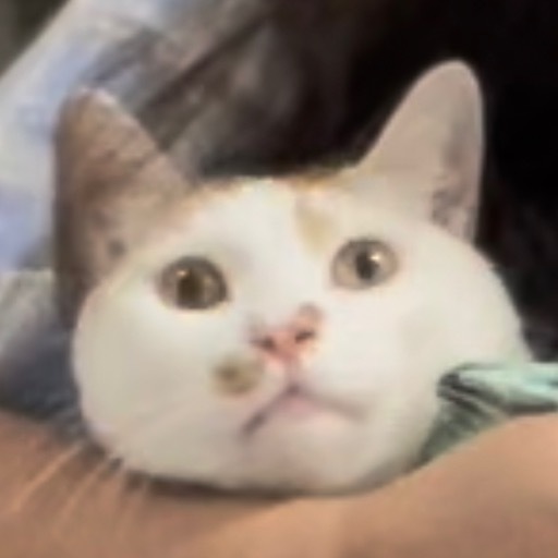 팔도국밥