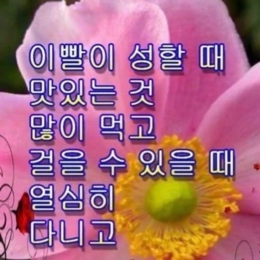 황가냉면