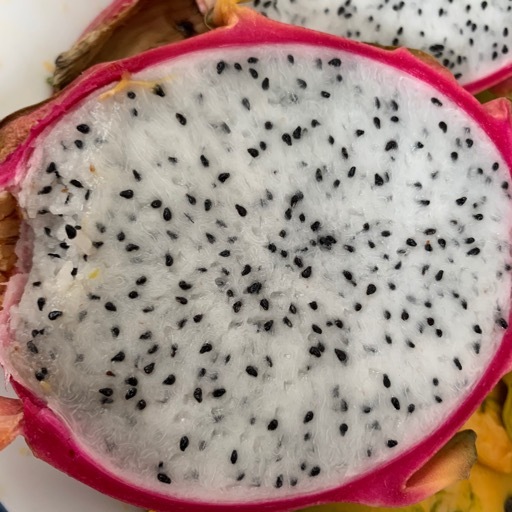 라멘구락부