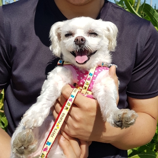 마티스커피