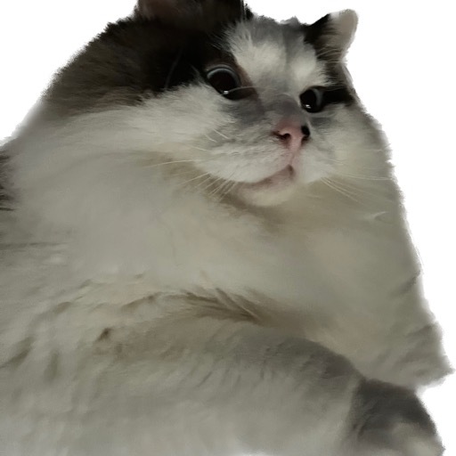 생선구이밥집