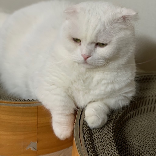희락반점