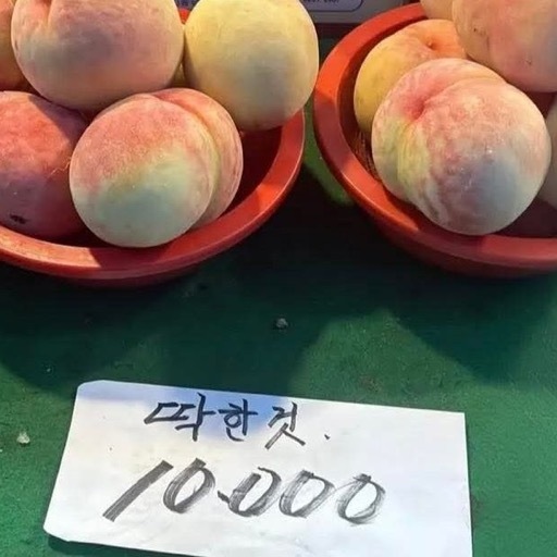 유니온커피로스터
